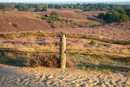 Camperplek Veluwe